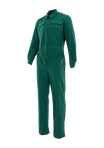 Zielony