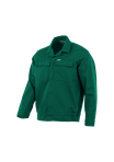 Zielony
