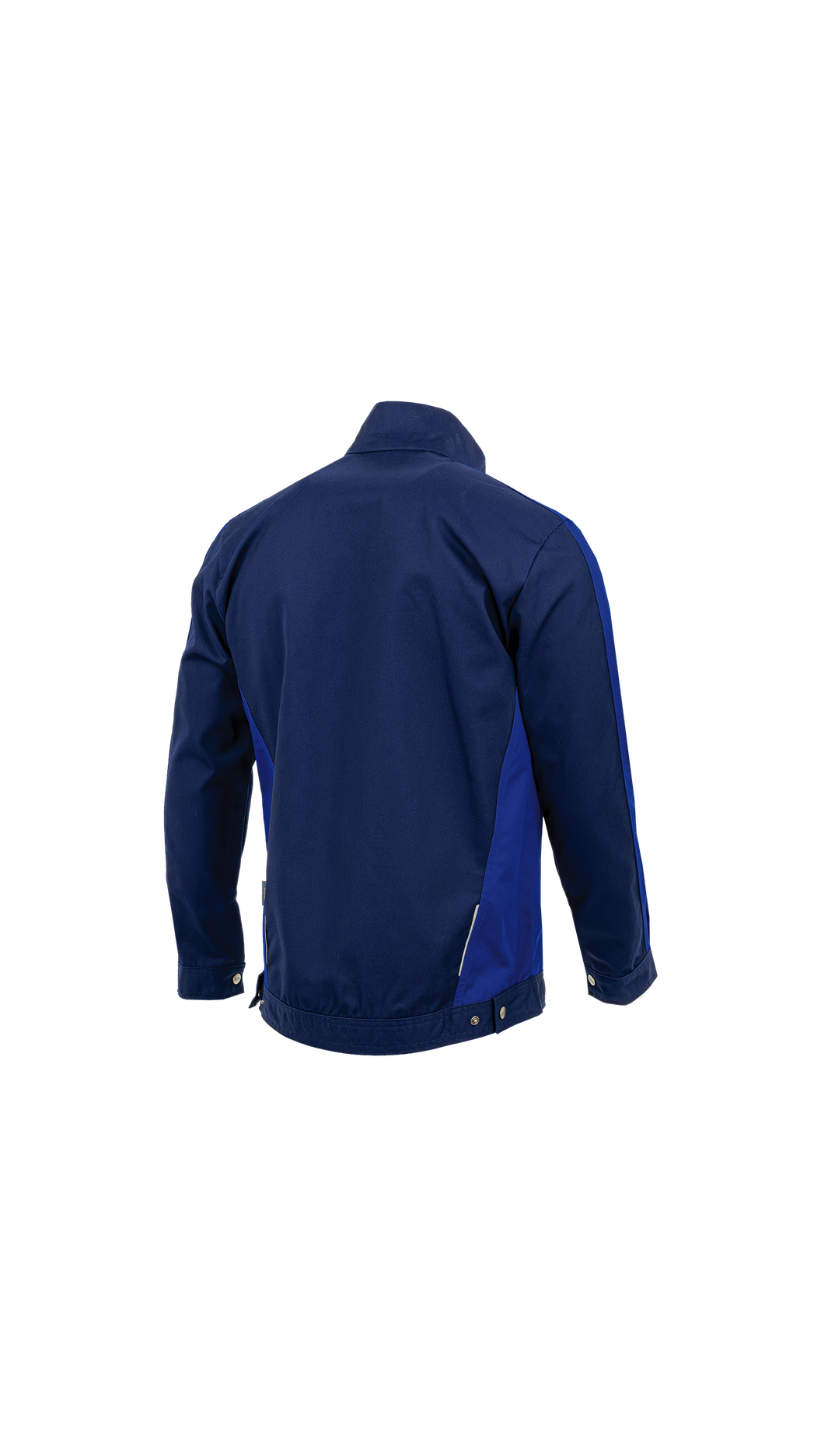 Bluza STERNIK NEW