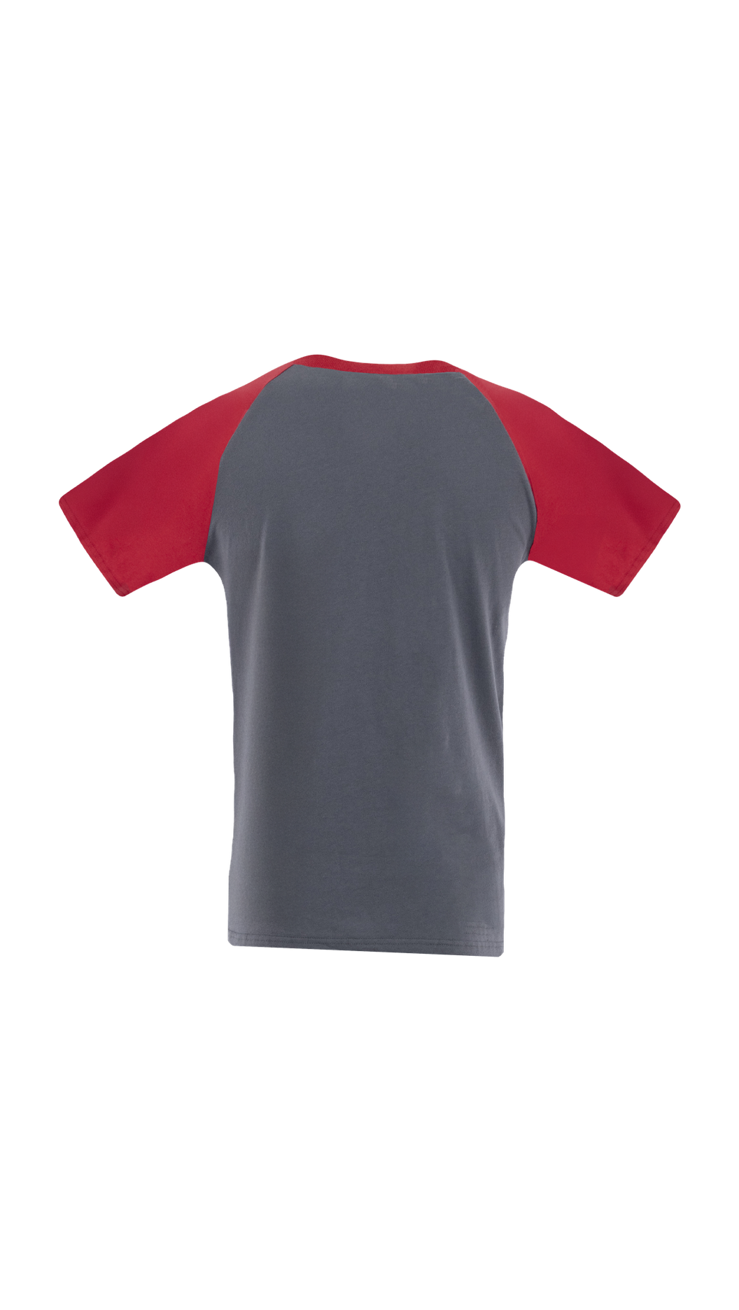 Koszulka t-shirt STANDARD PLUS