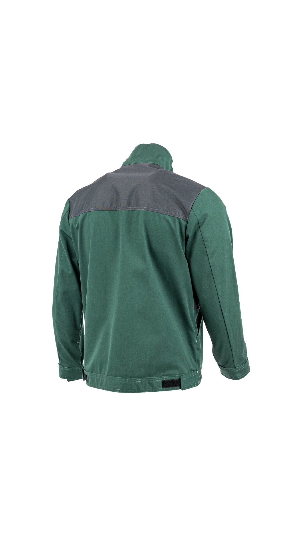 Bluza ROCKY