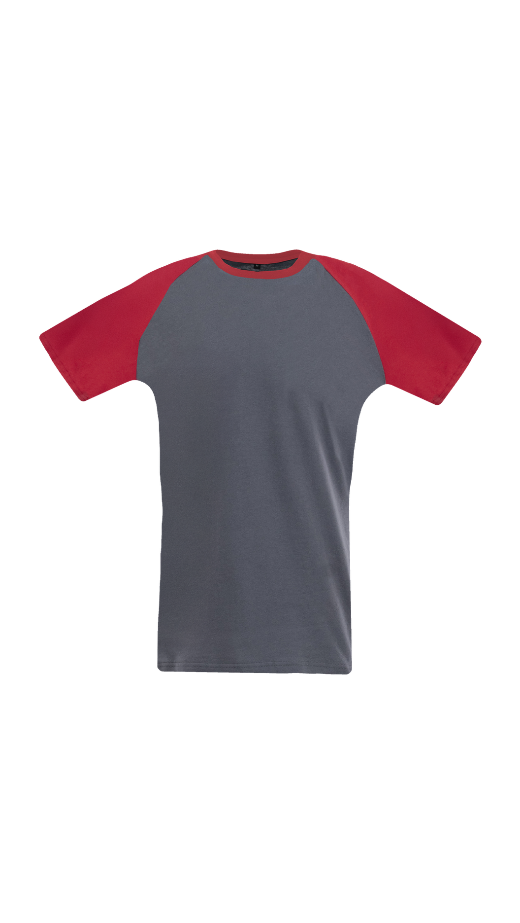 Koszulka t-shirt STANDARD PLUS