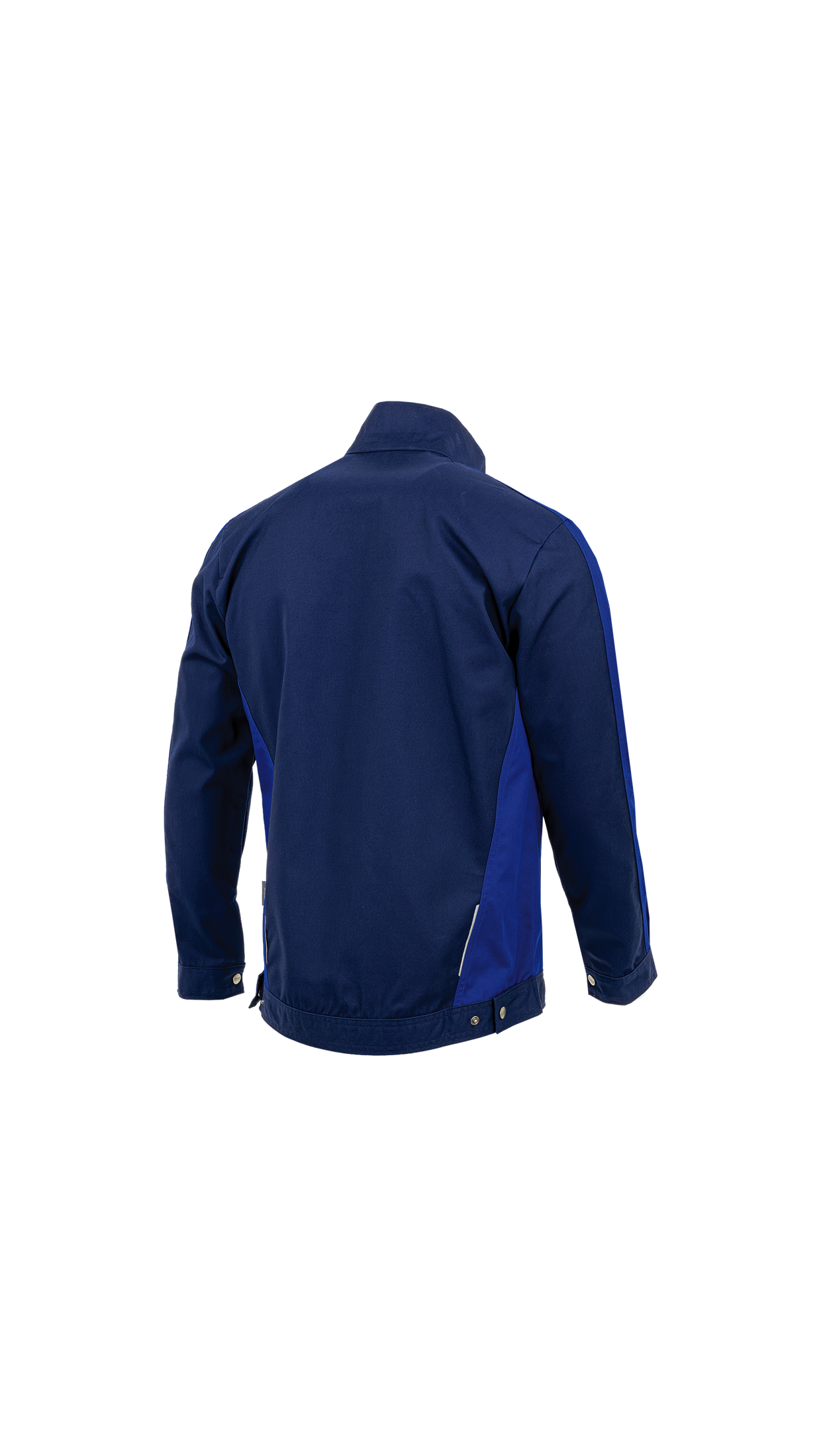 Bluza STERNIK NEW