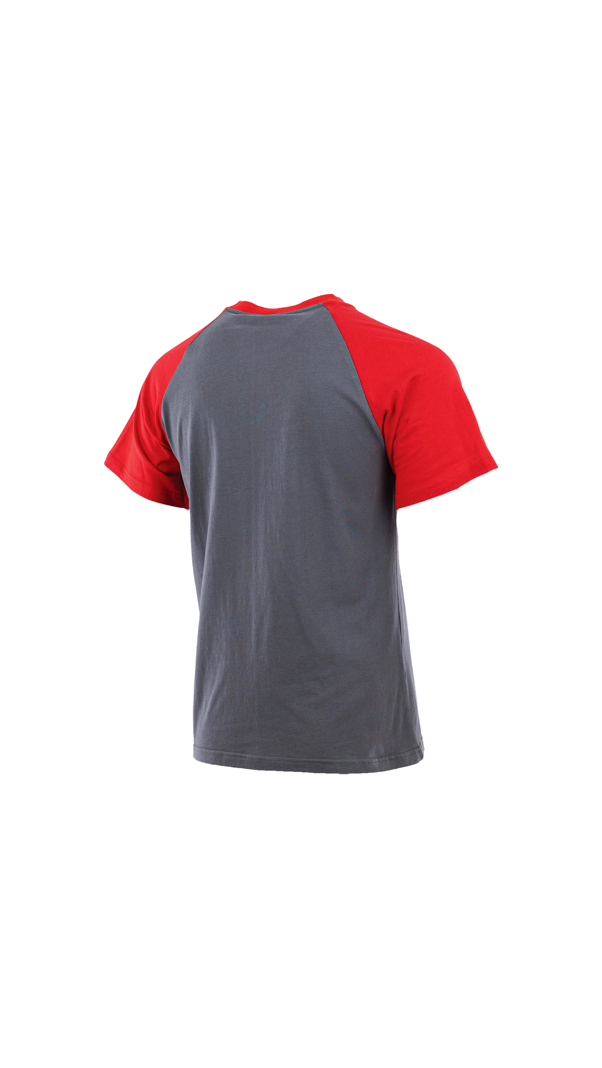 T-Shirt STANDARD PLUS