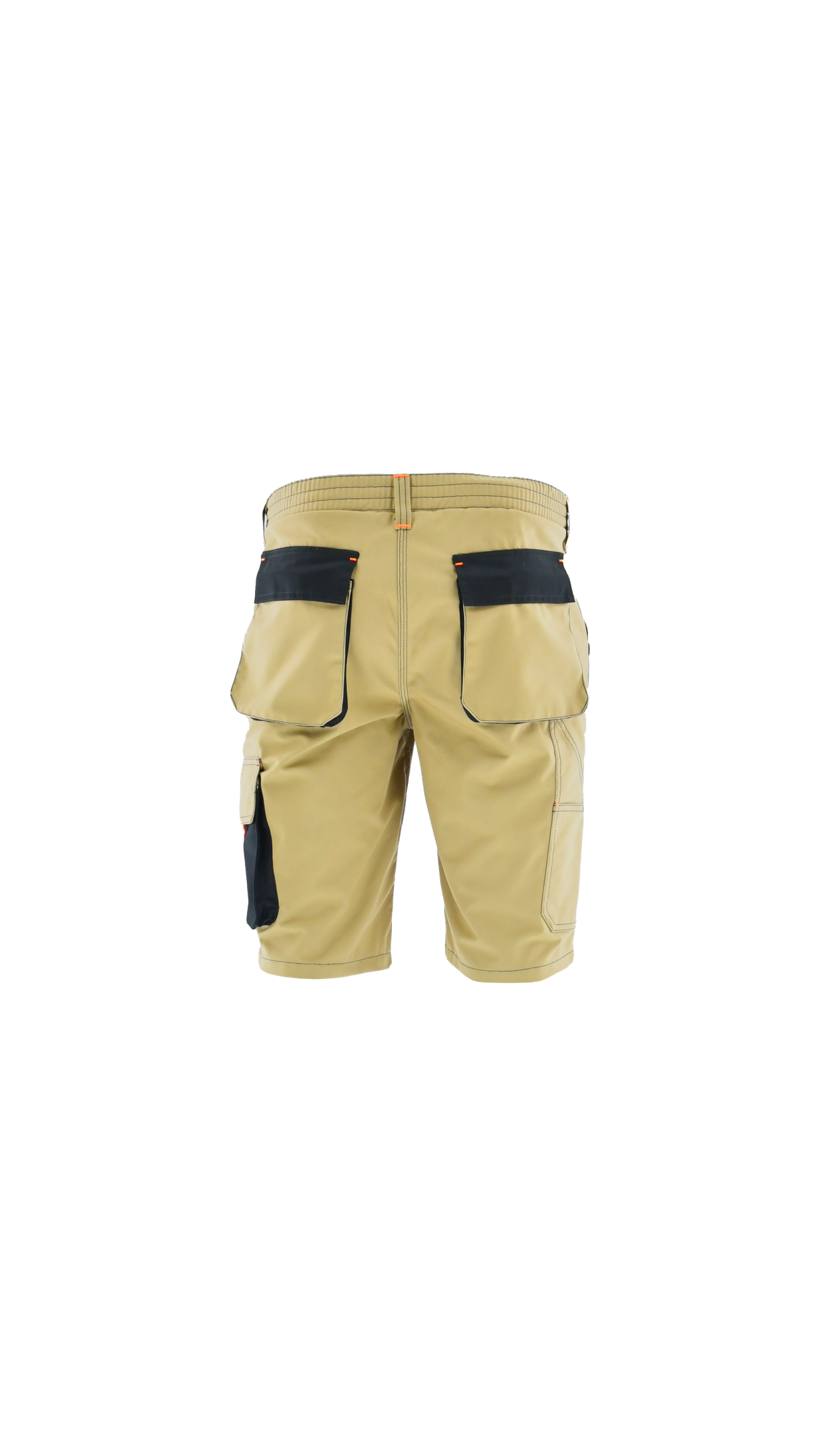 Shorts TIGER