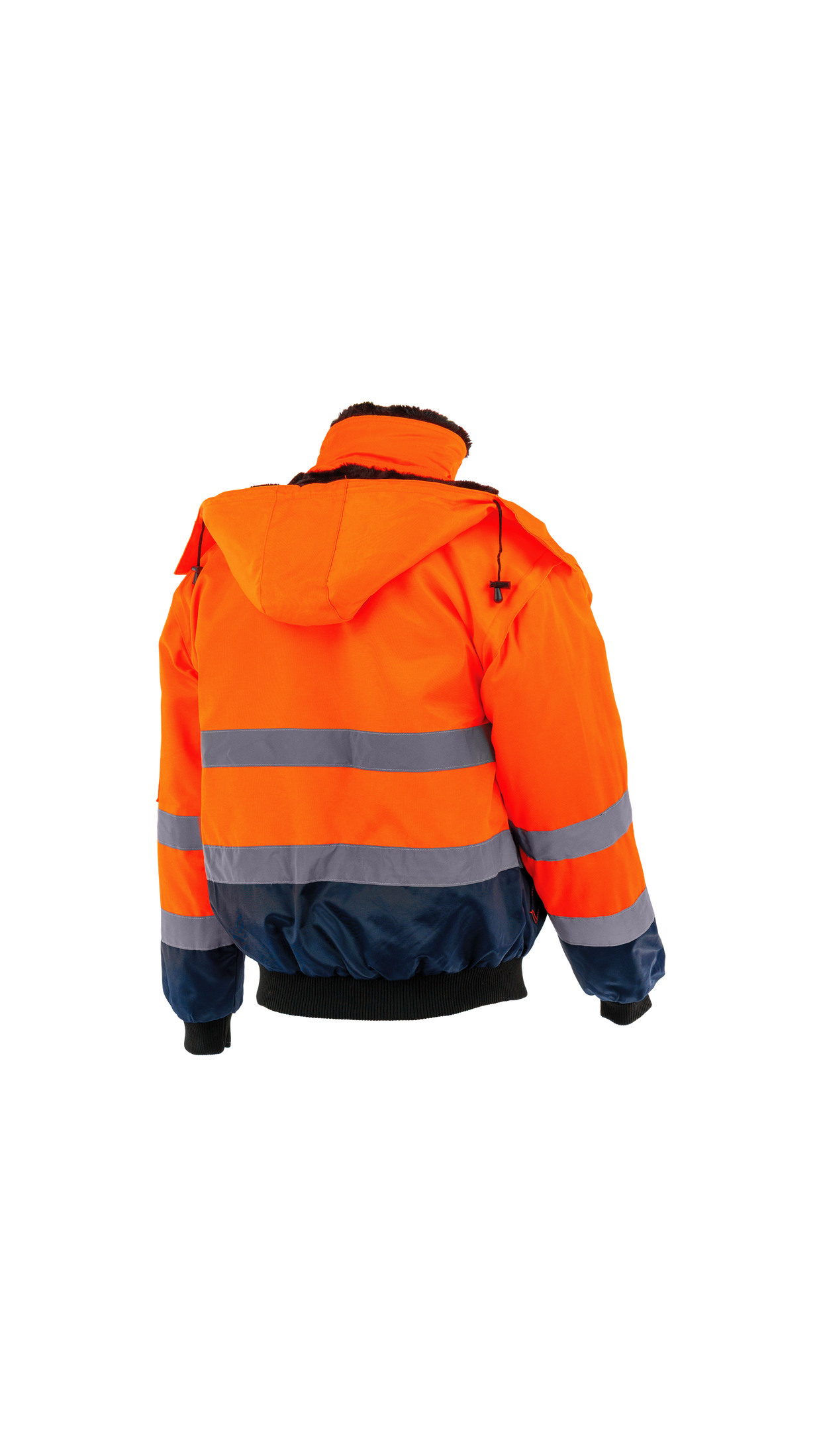 Kurze gefütterte Jacke ALPHA WINTER