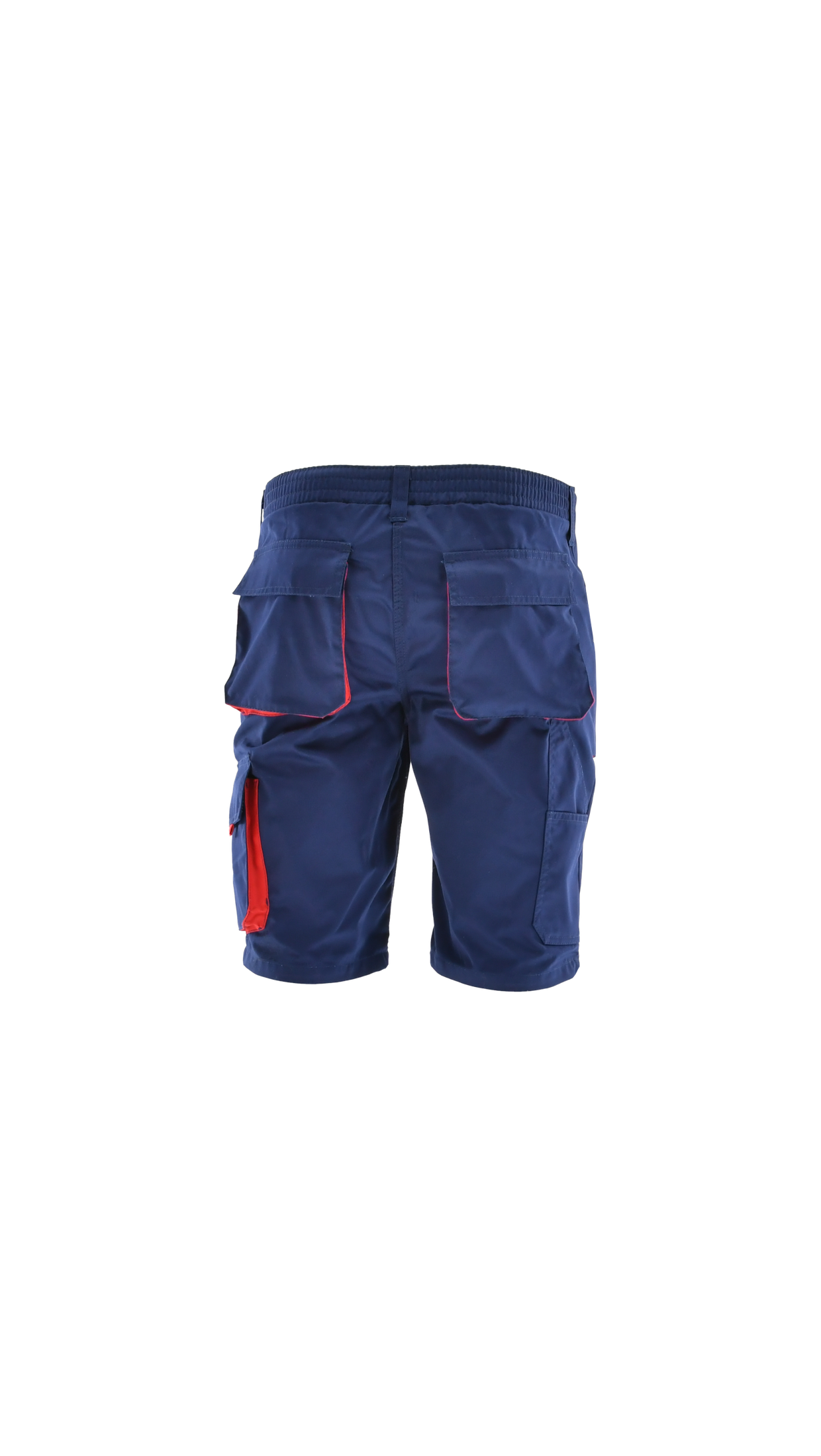 Pantalon scurt LION
