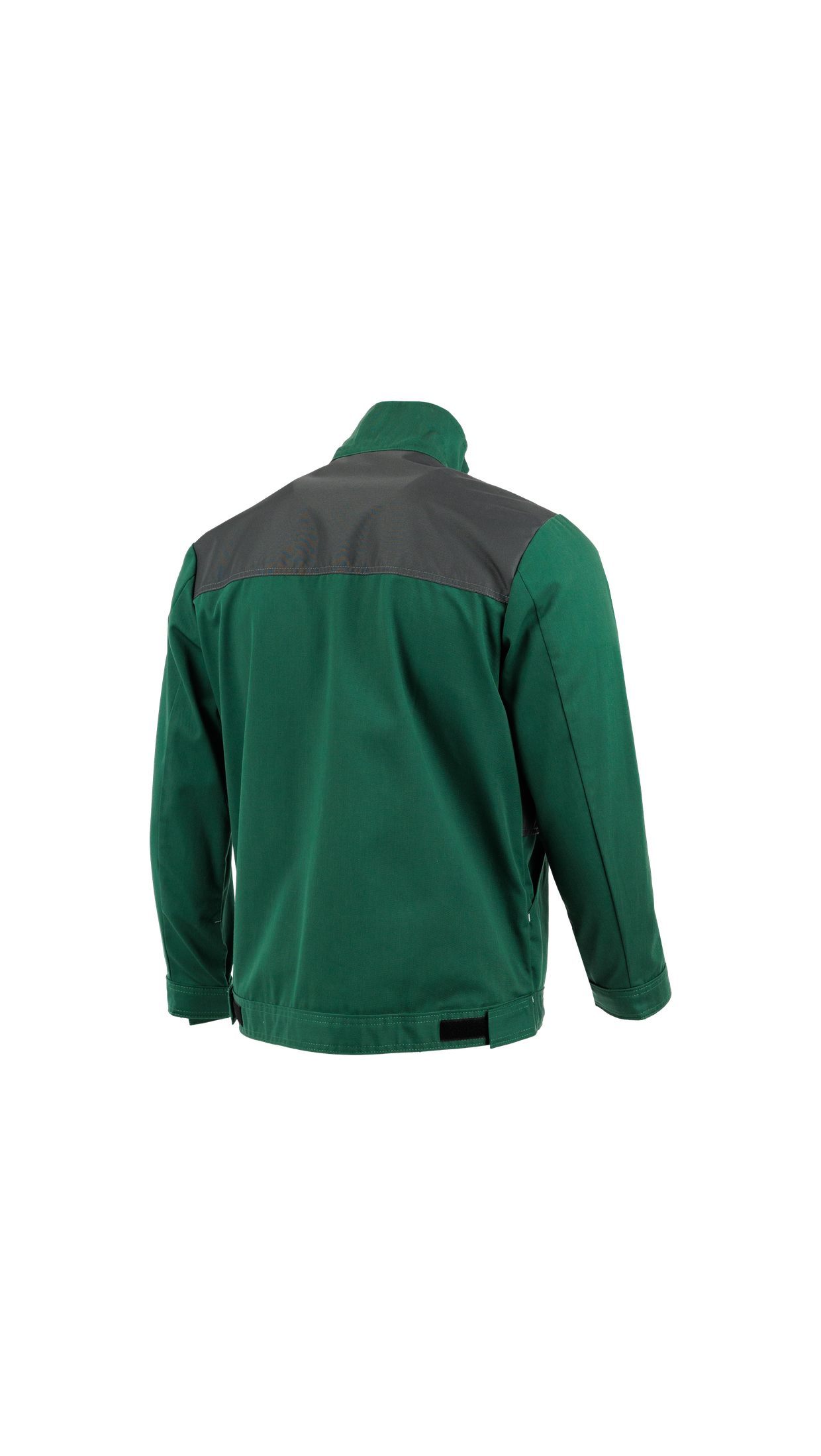 Bluza ROCKY