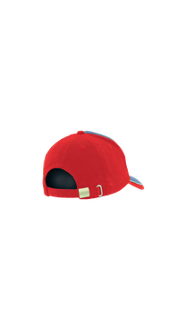 Cap STANDARD PLUS