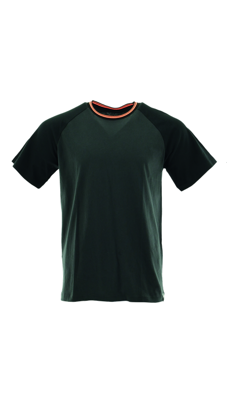 Koszulka t-shirt STANDARD PLUS